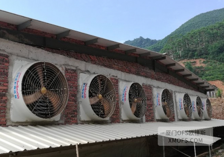 湖南負壓風機豬場降溫工程案例